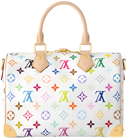 Louis Vuitton x TM Murakami Speedy